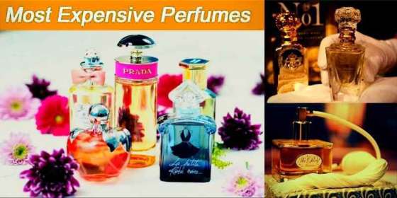 Expensive Perfume